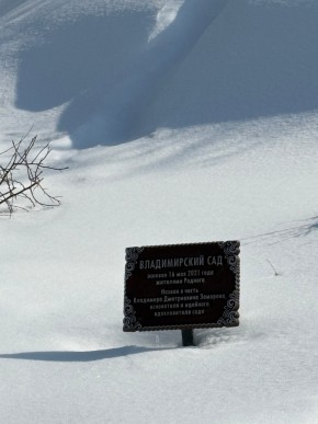 ДП Родной в Арамиле - aramil.yutvil.ru - фото 11