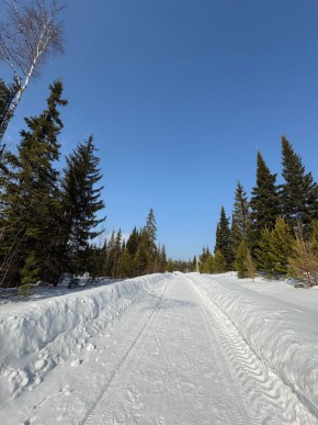 ДП Родной в Арамиле - aramil.yutvil.ru - фото 7