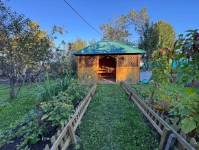Екатеренбург сад Торгмаш, СНТ  Садовод, уч. 52 в Арамиле - aramil.yutvil.ru - фото 10