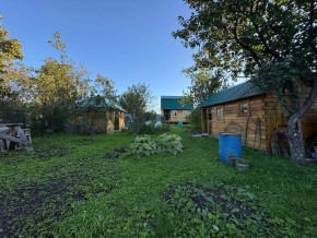 Екатеренбург сад Торгмаш, СНТ  Садовод, уч. 52 в Арамиле - aramil.yutvil.ru - фото 14