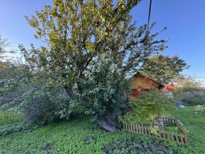 Екатеренбург сад Торгмаш, СНТ  Садовод, уч. 52 в Арамиле - aramil.yutvil.ru - фото 17