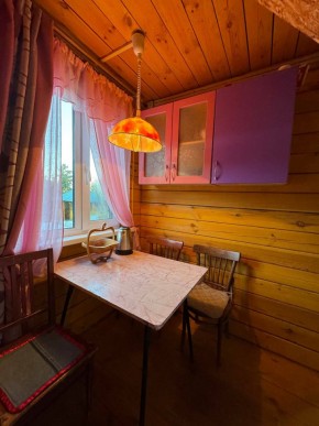 Екатеренбург сад Торгмаш, СНТ  Садовод, уч. 52 в Арамиле - aramil.yutvil.ru - фото 4
