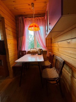 Екатеренбург сад Торгмаш, СНТ  Садовод, уч. 52 в Арамиле - aramil.yutvil.ru - фото 5
