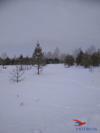 Земельный участок поселок Баженово в Арамиле - aramil.yutvil.ru - фото 5