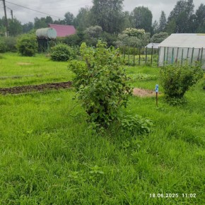 г Верхняя пышма, СНТ Мираж, уч.№ 99 в Арамиле - aramil.yutvil.ru - фото 11