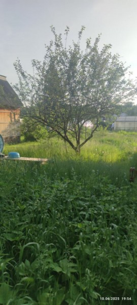 г Верхняя пышма, СНТ Мираж, уч.№ 99 в Арамиле - aramil.yutvil.ru - фото 19
