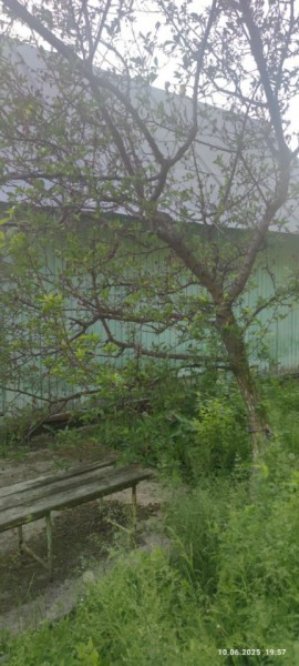 г Верхняя пышма, СНТ Мираж, уч.№ 99 в Арамиле - aramil.yutvil.ru - фото 26