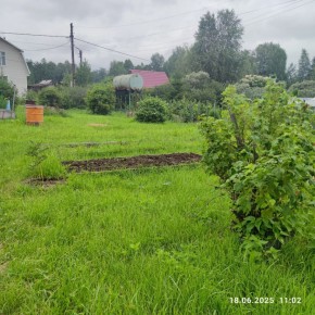г Верхняя пышма, СНТ Мираж, уч.№ 99 в Арамиле - aramil.yutvil.ru - фото 8