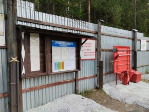 г.Верхняя Пышма СНТ №5 Березки в кв. 22 Среднеуральского Уралмашевского лесхоза в Арамиле - aramil.yutvil.ru - фото 18