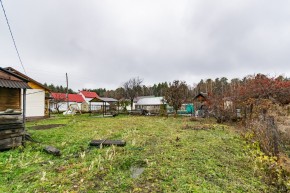 коллективный сад № 13, СНТ Садовод в Арамиле - aramil.yutvil.ru - фото 40