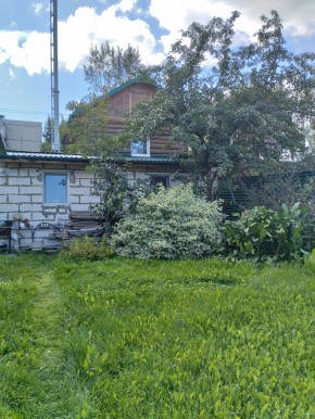 Коллективный сад номер 7, участок 58 в Арамиле - aramil.yutvil.ru - фото 21