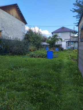 Коллективный сад номер 7, участок 58 в Арамиле - aramil.yutvil.ru - фото 26