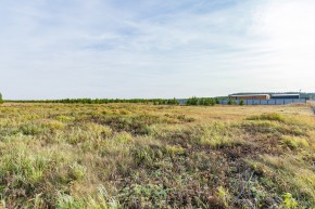 Российская Федерация, Свердловская область, Сысертский городской округ, территория садоводческого некоммерческого товарищества Бобровские дачи, улица Каштановая, земельный участок № 38 в Арамиле - aramil.yutvil.ru - фото 24