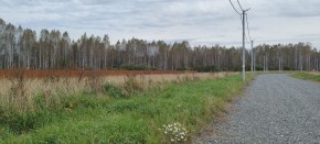 с. Новоалексеевское, КП Оникс,  в Арамиле - aramil.yutvil.ru - фото 2