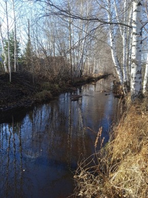 СНТ Берёзка в Арамиле - aramil.yutvil.ru - фото 14