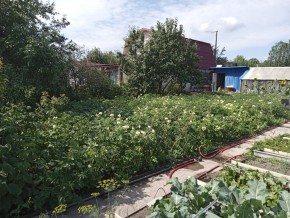 СНТ Медик-2 в Арамиле - aramil.yutvil.ru - фото 6