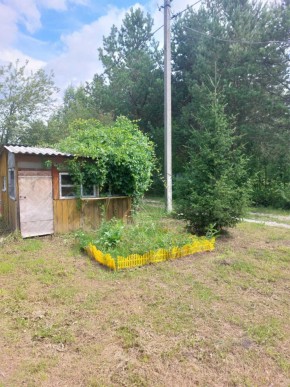 СНТ Родники в Арамиле - aramil.yutvil.ru - фото 1 СНТ Родники в Арамиле - aramil.yutvil.ru - фото 1