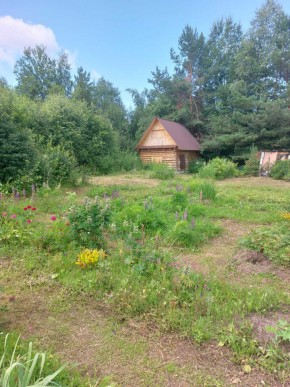 СНТ Родники в Арамиле - aramil.yutvil.ru - фото 2 СНТ Родники в Арамиле - aramil.yutvil.ru - фото 2