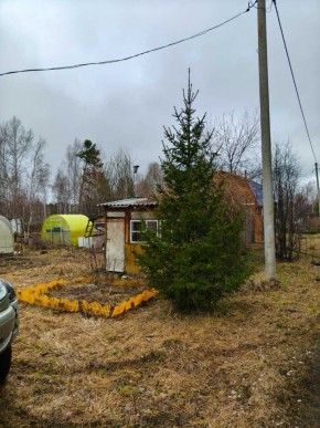 СНТ Родники в Арамиле - aramil.yutvil.ru - фото 5