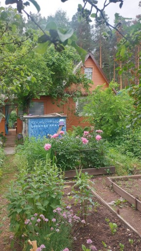 СНТ Садовод-24 в Арамиле - aramil.yutvil.ru