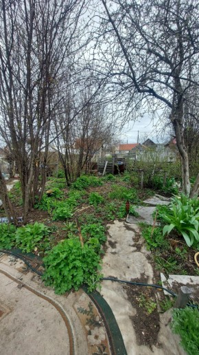СНТ Сирень, уч. 38 в Арамиле - aramil.yutvil.ru - фото 7