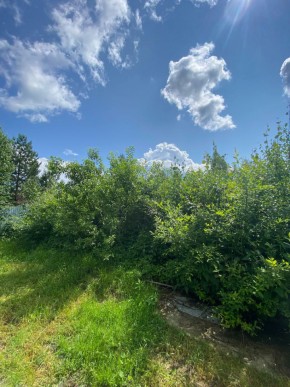 СПК Юбилейный, уч. 9 в Арамиле - aramil.yutvil.ru - фото 8