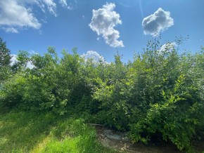 СПК Юбилейный, уч. 9 в Арамиле - aramil.yutvil.ru - фото 9