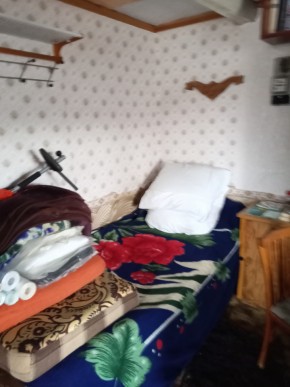 Белоярский р-н, у п. Хризолитовый, снт 50 лет Победы в Арамиле - aramil.yutvil.ru - фото 9
