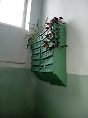 ул. Бажова,11 в Арамиле - aramil.yutvil.ru - фото 2