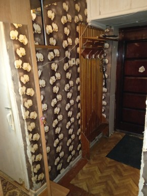 ул. Бажова,11 в Арамиле - aramil.yutvil.ru - фото 9