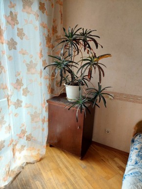 ул. Индустрии,29 в Арамиле - aramil.yutvil.ru - фото 4 ул. Индустрии,29 в Арамиле - aramil.yutvil.ru - фото 4