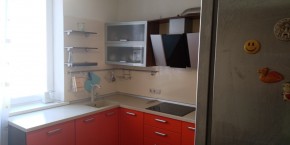 ул. Парниковая,10 в Арамиле - aramil.yutvil.ru - фото 12