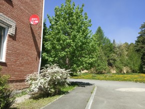 ул. Сосновая, 8 в Арамиле - aramil.yutvil.ru - фото 25