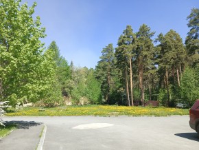 ул. Сосновая, 8 в Арамиле - aramil.yutvil.ru - фото 26
