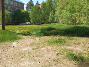 ул. Сосновая, 8 в Арамиле - aramil.yutvil.ru - фото 33