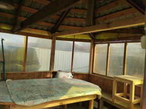 ул. Советская,7 в Арамиле - aramil.yutvil.ru - фото 6 ул. Советская,7 в Арамиле - aramil.yutvil.ru - фото 6