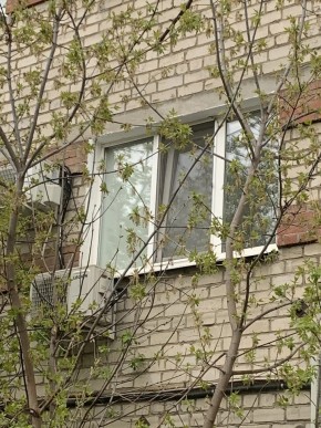 ул. Таганская,8 в Арамиле - aramil.yutvil.ru - фото 14