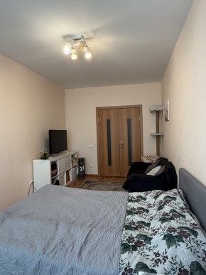 ул. Вильгельма де Геннина,47 в Арамиле - aramil.yutvil.ru - фото 9 ул. Вильгельма де Геннина,47 в Арамиле - aramil.yutvil.ru - фото 9