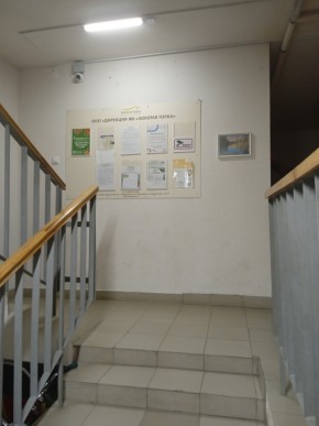 ул. Высокая,7 в Арамиле - aramil.yutvil.ru - фото 8